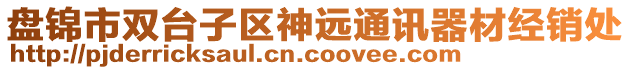 盤錦市雙臺子區神遠通訊器材經銷處