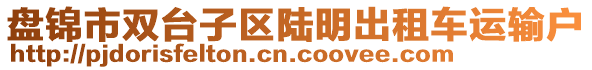 盤錦市雙臺子區(qū)陸明出租車運輸戶