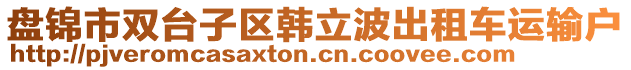 盤錦市雙臺子區(qū)韓立波出租車運輸戶