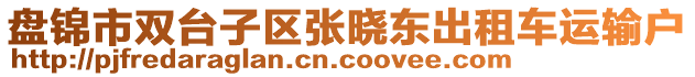 盤錦市雙臺子區(qū)張曉東出租車運(yùn)輸戶