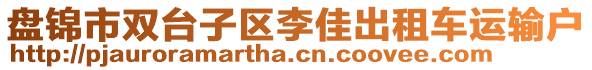 盤錦市雙臺子區(qū)李佳出租車運輸戶