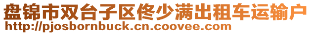 盘锦市双台子区佟少满出租车运输户