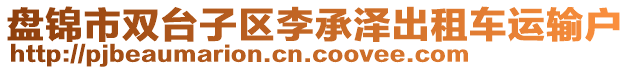 盤錦市雙臺子區(qū)李承澤出租車運輸戶