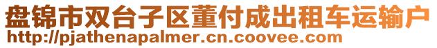 盤錦市雙臺子區(qū)董付成出租車運輸戶