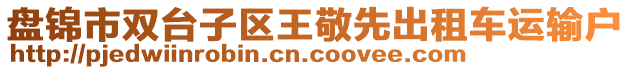 盤錦市雙臺子區(qū)王敬先出租車運輸戶