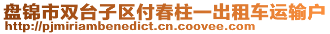 盤錦市雙臺子區(qū)付春柱一出租車運(yùn)輸戶