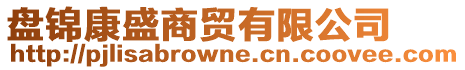 盘锦康盛商贸有限公司