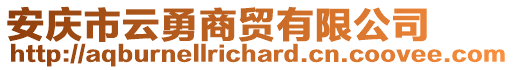 安慶市云勇商貿(mào)有限公司