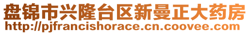 盤錦市興隆臺區(qū)新曼正大藥房