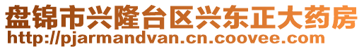 盤錦市興隆臺(tái)區(qū)興東正大藥房