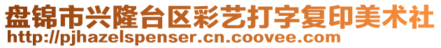 盤錦市興隆臺區(qū)彩藝打字復印美術社