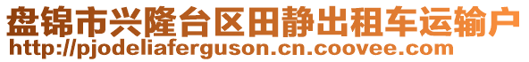 盤錦市興隆臺區(qū)田靜出租車運輸戶