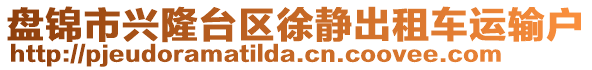 盤錦市興隆臺(tái)區(qū)徐靜出租車運(yùn)輸戶