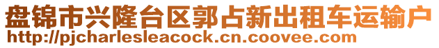 盤(pán)錦市興隆臺(tái)區(qū)郭占新出租車(chē)運(yùn)輸戶(hù)