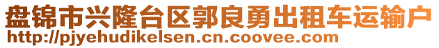 盤錦市興隆臺(tái)區(qū)郭良勇出租車運(yùn)輸戶