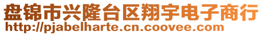 盤錦市興隆臺區(qū)翔宇電子商行