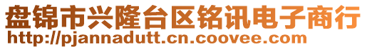 盤錦市興隆臺區(qū)銘訊電子商行