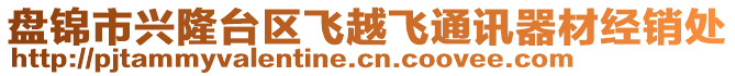 盤錦市興隆臺(tái)區(qū)飛越飛通訊器材經(jīng)銷處