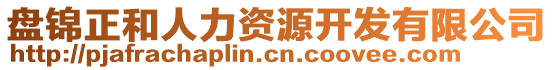 盤(pán)錦正和人力資源開(kāi)發(fā)有限公司