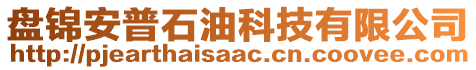 盤錦安普石油科技有限公司