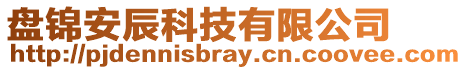 盤錦安辰科技有限公司