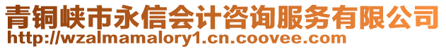 青铜峡市永信会计咨询服务有限公司