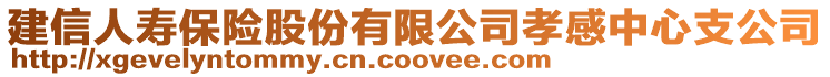 建信人壽保險股份有限公司孝感中心支公司