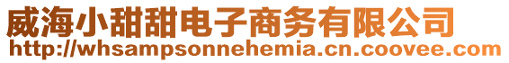 威海小甜甜電子商務(wù)有限公司