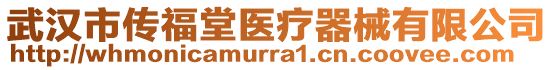 武漢市傳福堂醫(yī)療器械有限公司