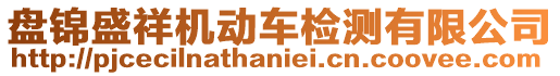 盤錦盛祥機動車檢測有限公司