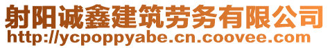 射陽(yáng)誠(chéng)鑫建筑勞務(wù)有限公司