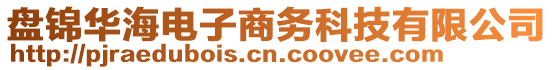 盤錦華海電子商務科技有限公司