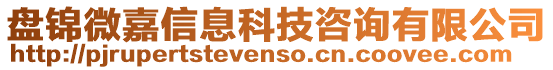 盤錦微嘉信息科技咨詢有限公司