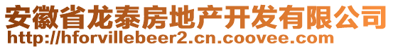 安徽省龍?zhí)┓康禺a(chǎn)開發(fā)有限公司