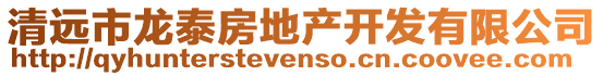 清遠市龍?zhí)┓康禺a(chǎn)開發(fā)有限公司