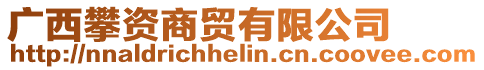 廣西攀資商貿有限公司