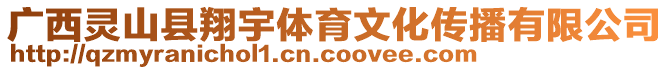 廣西靈山縣翔宇體育文化傳播有限公司