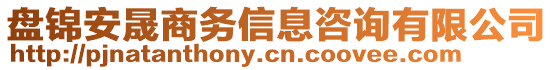 盤錦安晟商務(wù)信息咨詢有限公司