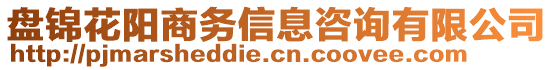 盤錦花陽商務(wù)信息咨詢有限公司