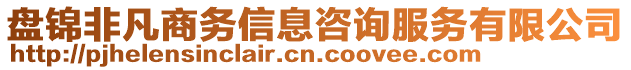 盤錦非凡商務(wù)信息咨詢服務(wù)有限公司