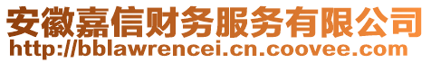 安徽嘉信財(cái)務(wù)服務(wù)有限公司