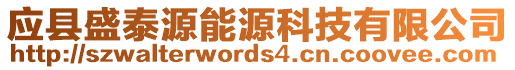 應(yīng)縣盛泰源能源科技有限公司