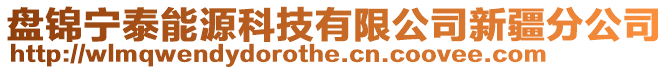 盤錦寧泰能源科技有限公司新疆分公司