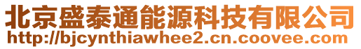 北京盛泰通能源科技有限公司