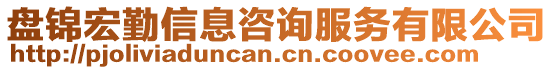 盤錦宏勤信息咨詢服務(wù)有限公司