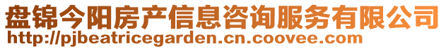 盤(pán)錦今陽(yáng)房產(chǎn)信息咨詢服務(wù)有限公司