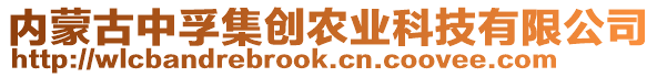 內(nèi)蒙古中孚集創(chuàng)農(nóng)業(yè)科技有限公司