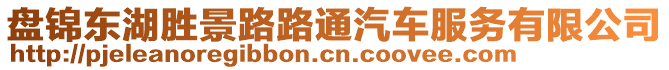 盤錦東湖勝景路路通汽車服務有限公司