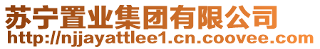 蘇寧置業(yè)集團(tuán)有限公司