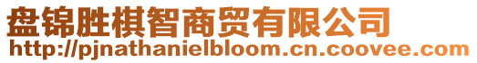 盤錦勝棋智商貿(mào)有限公司